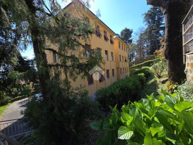 Appartamento in vendita a Velletri RM
