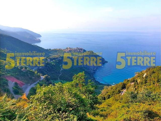 Appartamento in vendita a Vernazza SP