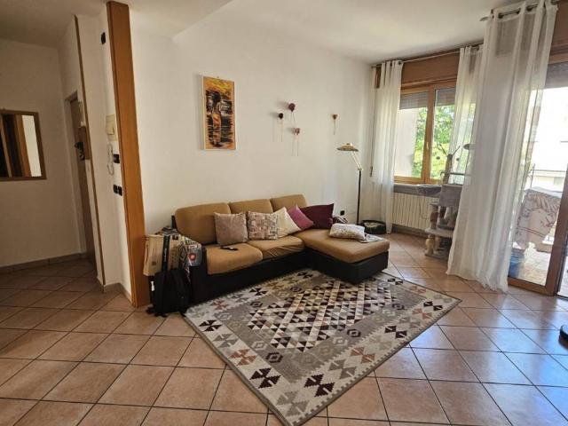 Appartamento in vendita a Verona VR