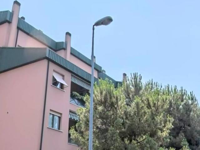 Appartamento in vendita a Verona VR