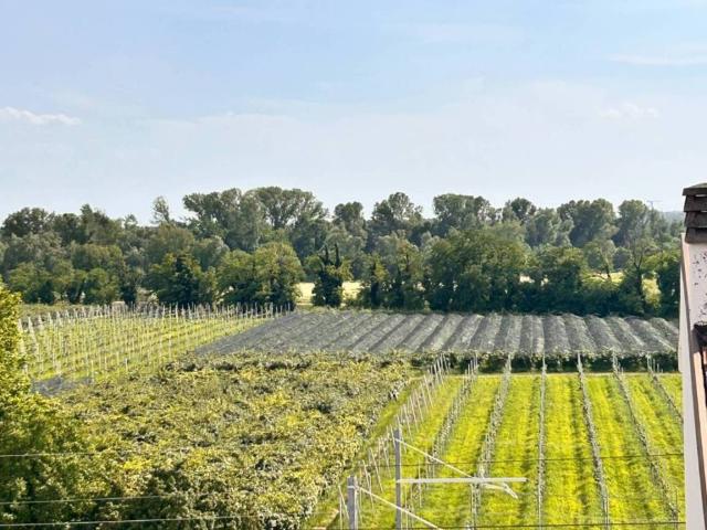 Appartamento in vendita a Verona VR