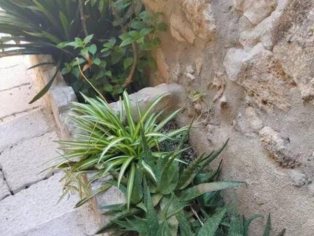 Appartamento in vendita a Vico del Gargano FG