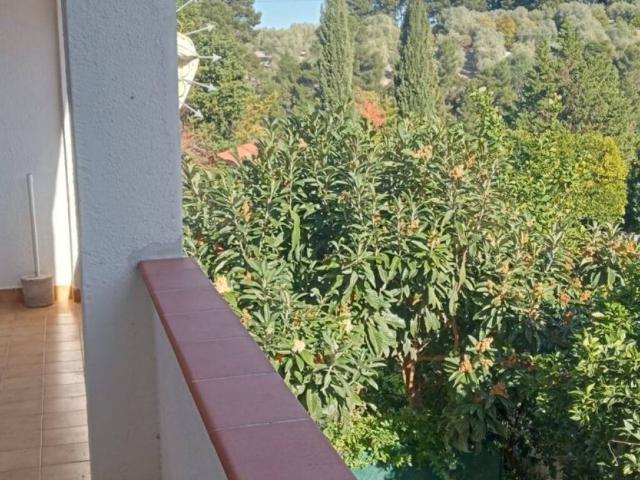 Appartamento in vendita a Vico del Gargano FG