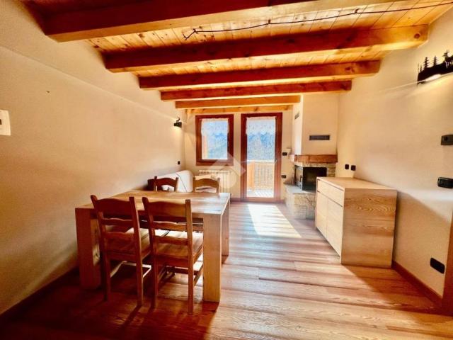 Appartamento in vendita a Vione BS
