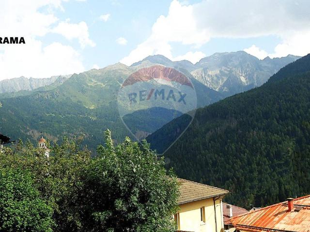 Appartamento in vendita a Vione