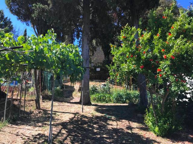 Appartamento in vendita a Volterra PI