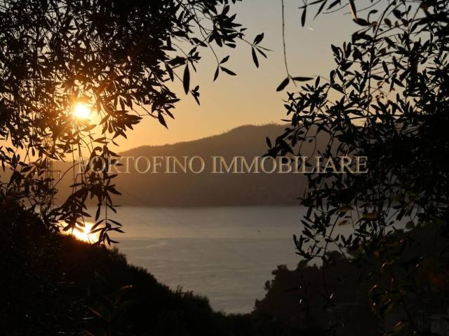 Villa in vendita a Zoagli GE