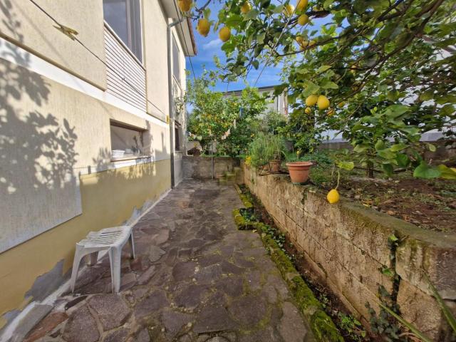 Appartamento in vendita, Campiglia Marittima venturina