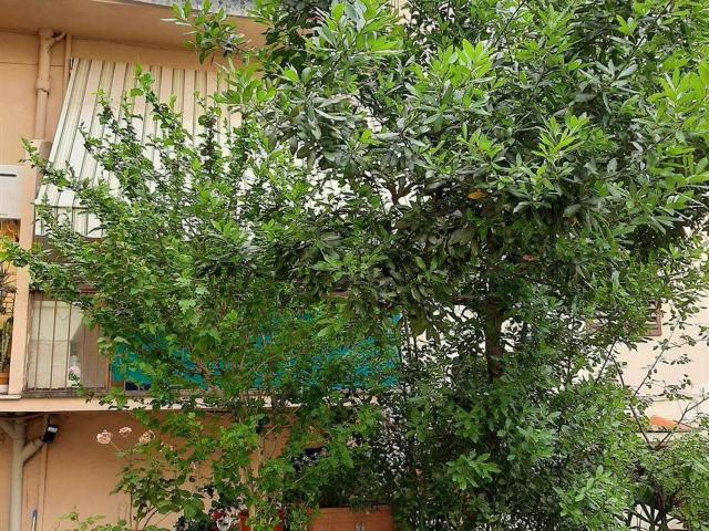 Appartamento in vendita di 40 m² in Via Goito, 14
