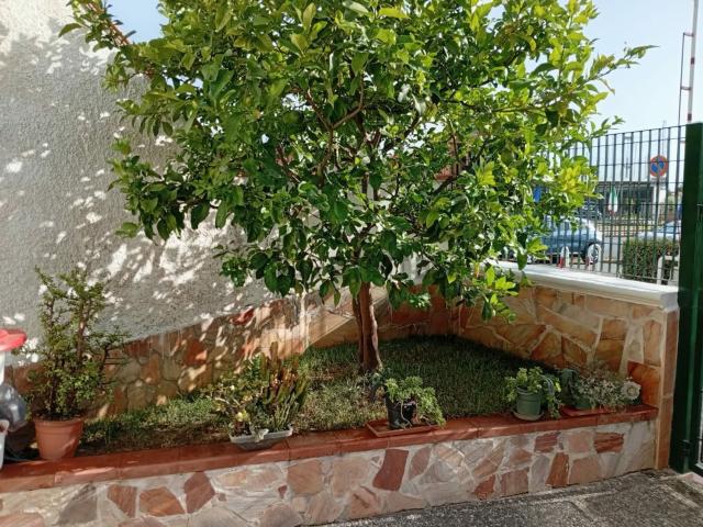 Appartamento in vendita di 41 m² in Viale delle Rose