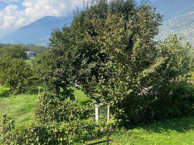 Appartamento in vendita di 44 m² in Via Marini