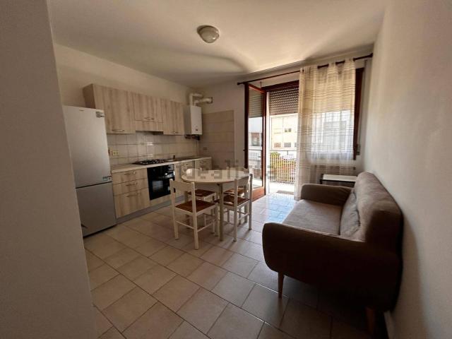 Appartamento in vendita di 45 m² in Viale Erminia Fuà Fusinato, 23