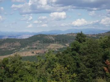Appartamento in vendita di 504 m² in Località Ponibbiale