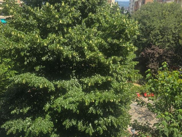 Appartamento in vendita di 55 m² in Piazza Valdelsa