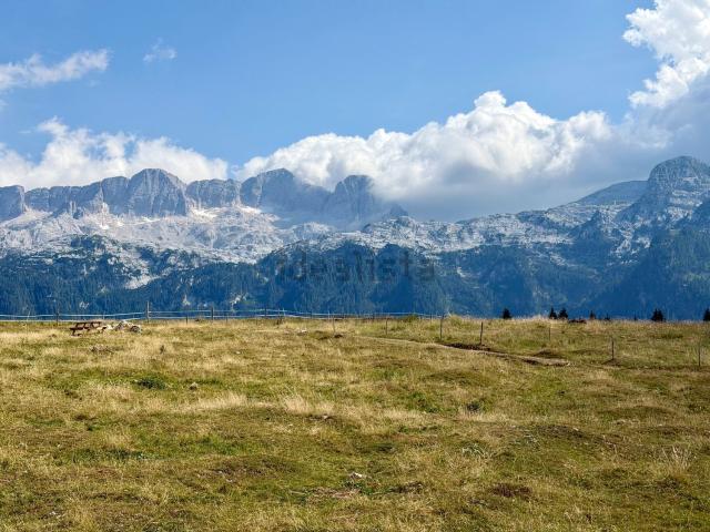 Appartamento in vendita di 56 m² in Via Friuli, 7