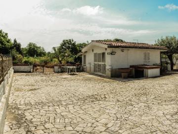 Ardea, Latina Lazio - Giardino