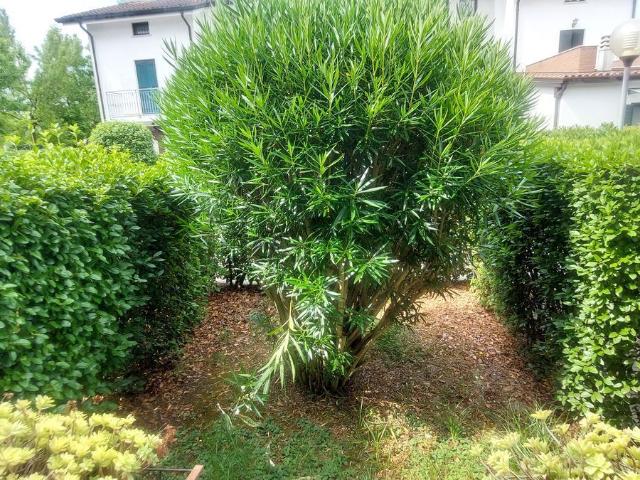 Appartamento in vendita di 60 m²