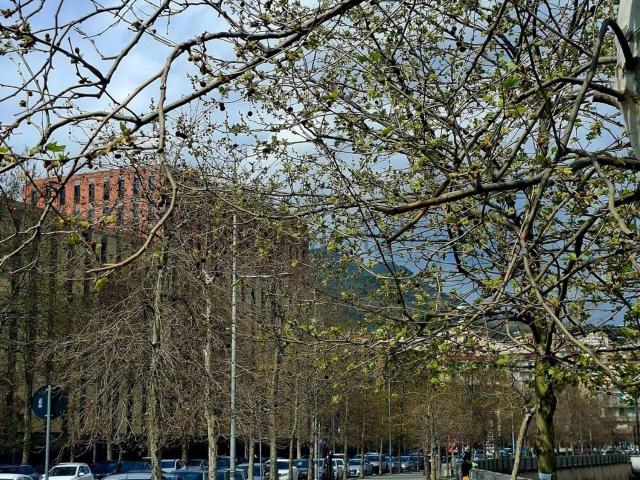 Appartamento in vendita di 65 m² in Via Silvio Baratta, 42
