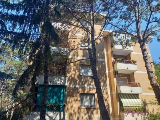 Appartamento in vendita di 65 m²