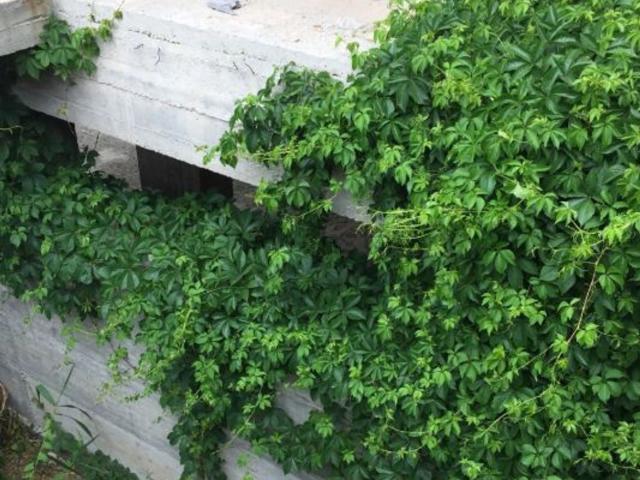 Appartamento in vendita di 693 m² in Via Lambrosi