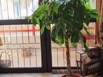 Appartamento in vendita di 70 m² in Via Altofonte, 178