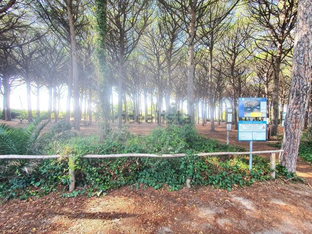 Appartamento in vendita di 70 m² in Via dei Cavalleggeri, 88