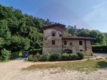 Comeana, Firenze Toscana, Toscana - Giardino
