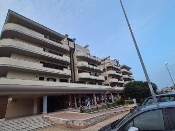 Nettuno, Latina Lazio - Terrazzo, Cantina