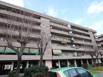 Via Mare di Tasman - Parcheggio auto
