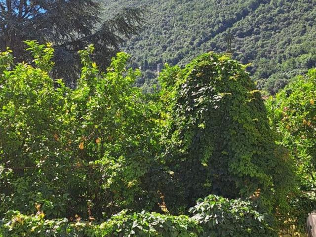 Appartamento in vendita di 80 m² in Via per Calice