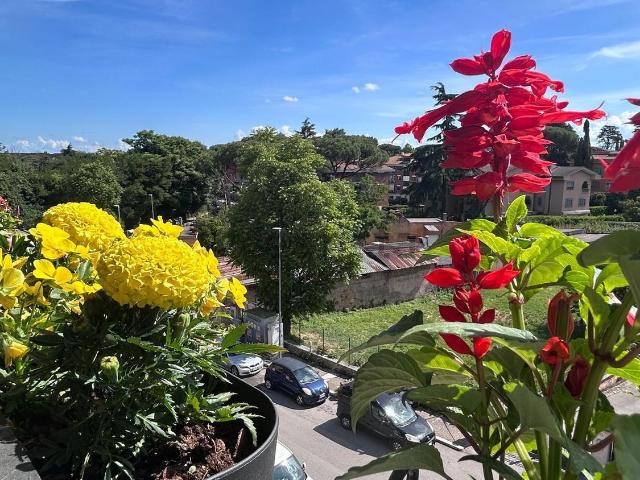 Appartamento in vendita di 84 m² in Via Annia Regilla, 199