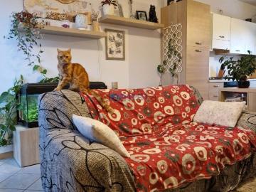 Appartamento in vendita di 85 m² in Via Brenta, 5