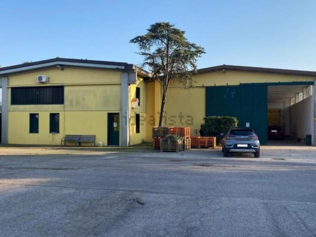 Appartamento in vendita di 869 m² in Via F. Chieregato, 829