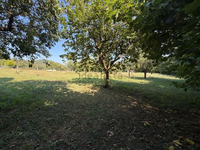 Appartamento in vendita di 86 m² in Via Mangona