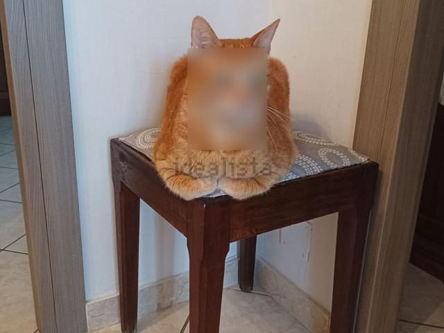 Appartamento in vendita di 93 m² in Via I° Maggio
