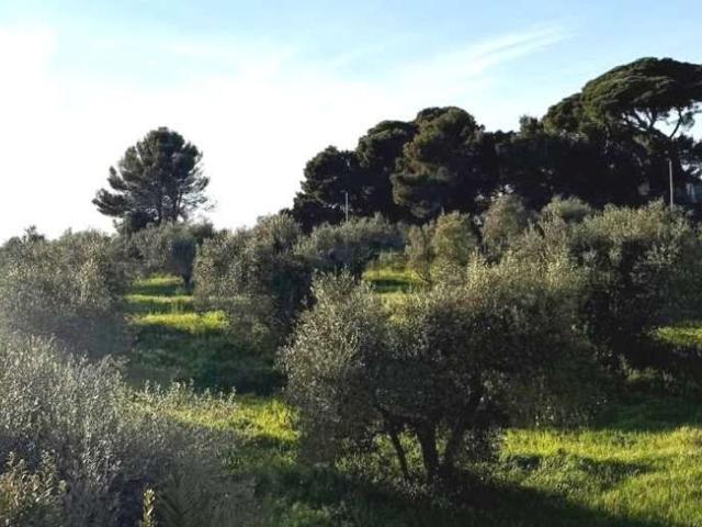 Appartamento in vendita di 95 m² in Via Fortunato Garzelli