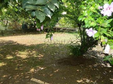 Bargana, Massa-Carrara, Liguria - Giardino