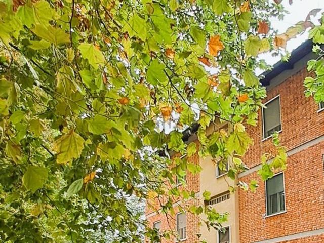 Appartamento in vendita di 98 m² in Via dei Pioppi, 56