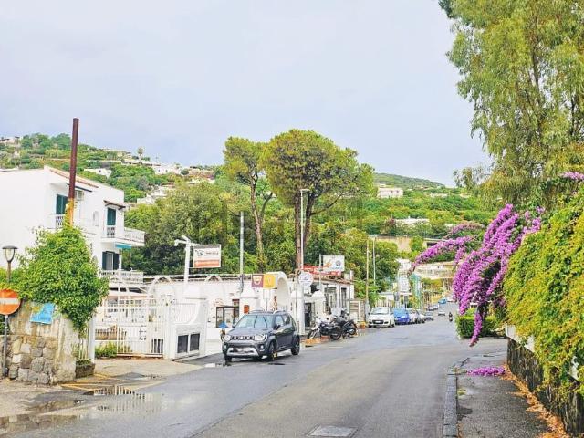 Appartamento in vendita di 100 m² in Via delle Ginestre