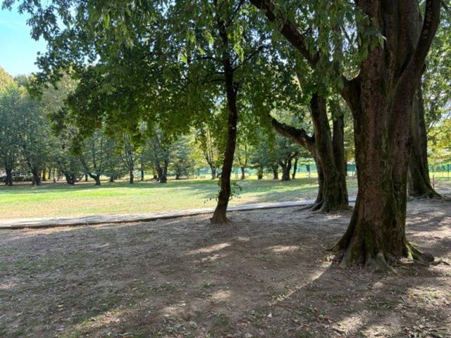 Appartamento in vendita di 105 m² in Via Ferrandina, 12