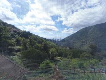 Antona, Massa-Carrara, Liguria - Giardino