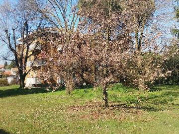 Appartamento in vendita di 110 m² in Via Montello, 6