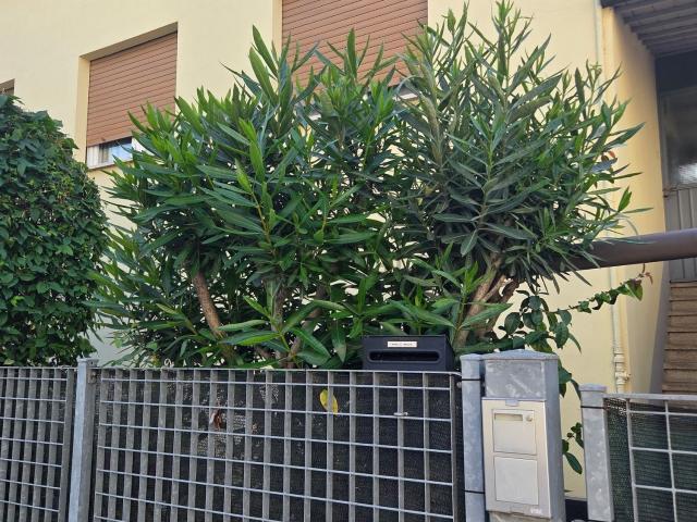 Appartamento in vendita di 110 m² in Viale San Francesco