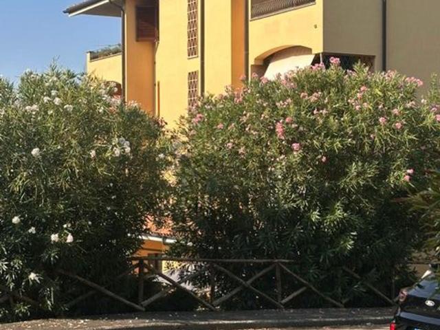 Appartamento in vendita di 110 m² in Località Cimignano