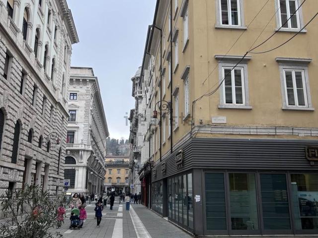 Appartamento in vendita di 113 m² in Via Dante Alighieri, 7
