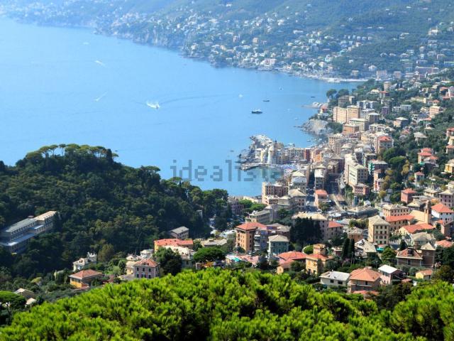 Appartamento in vendita di 120 m² in Viale Franco Molfino