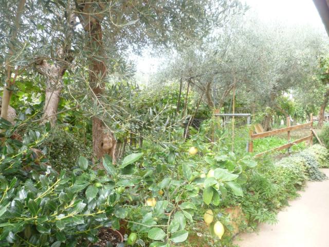 Appartamento in vendita di 120 m² in Località Scaloni