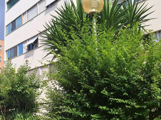 Appartamento in vendita di 122 m²