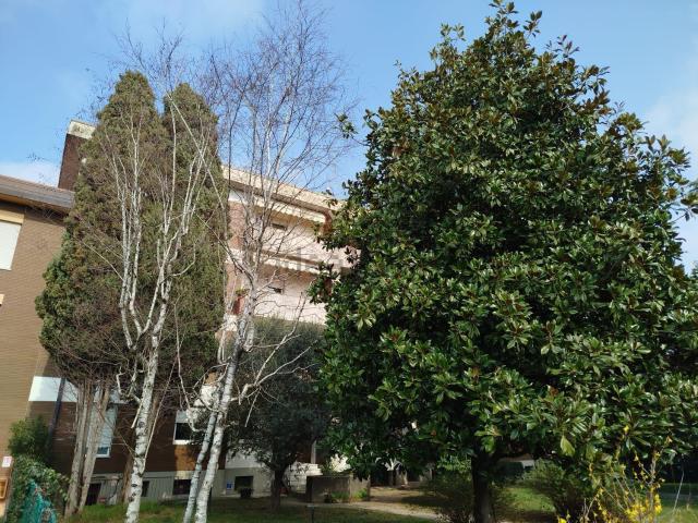 Appartamento in vendita di 125 m²