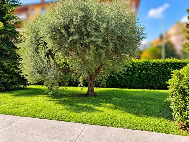 Appartamento in vendita di 127 m²